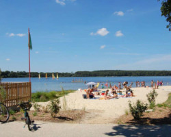 Saint-Médard-Sur-Ille se situe au cœur d'un territoire proposant de nombreuses idées de visite ou balade.